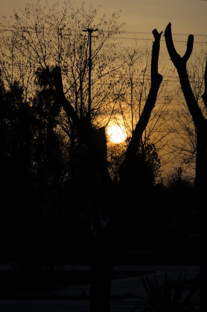 Sunset (3)